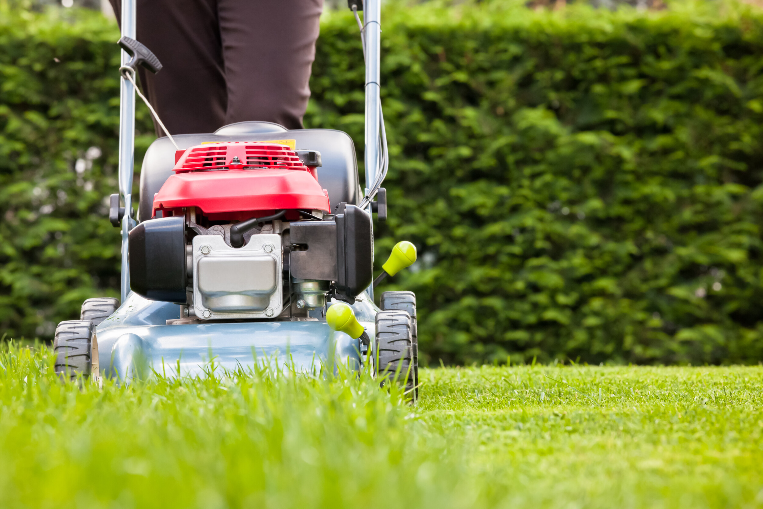 garden lawn being cut by a lawnmower