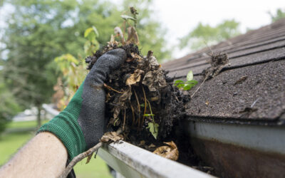 Blog 2 Expert Gutter Cleaning Services in Hampshire by RB Solutions