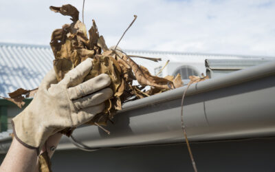Blog 9 Expert Gutter Cleaning Services in Bournemouth by RB Solutions