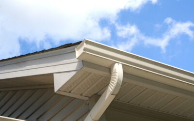 Blog 7 RB Solutions: Expert Gutter Cleaning Services in Basingstoke
